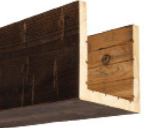 CEDAR NOIR Beam