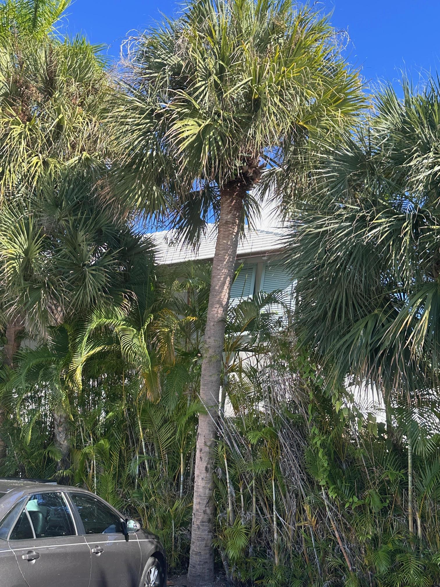Southeast Florida Private Residence - Creaton Visio
