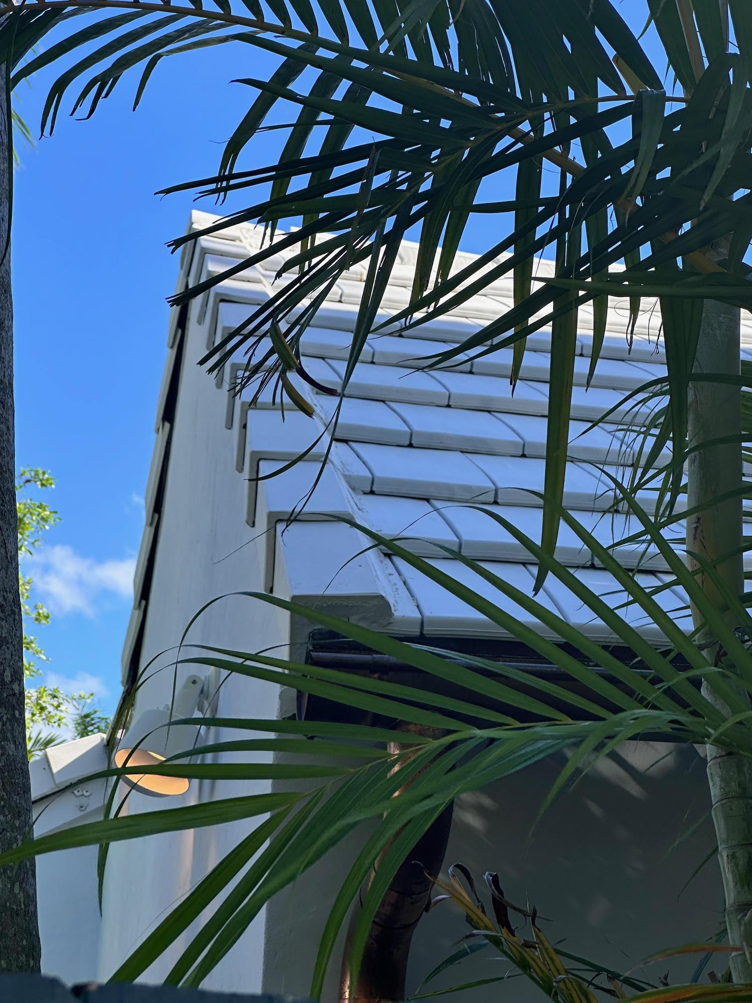 Southeast Florida Private Residence - Creaton Visio Roof Tile with Palm Trees