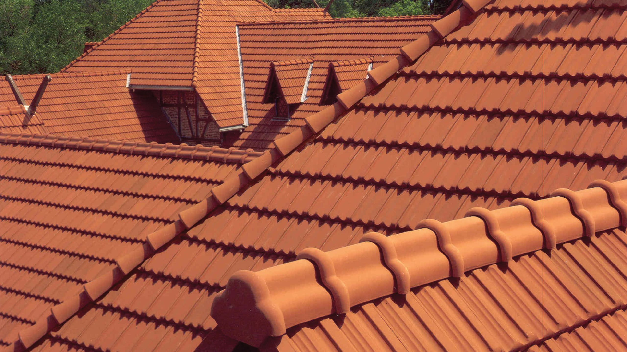 Humboldt Park Stables Featuring Ludowici French Clay Roof Tile